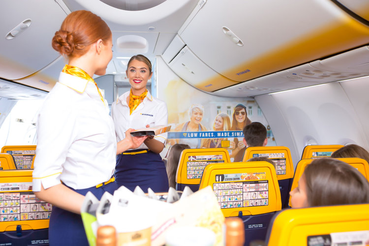cabin crew in a plane