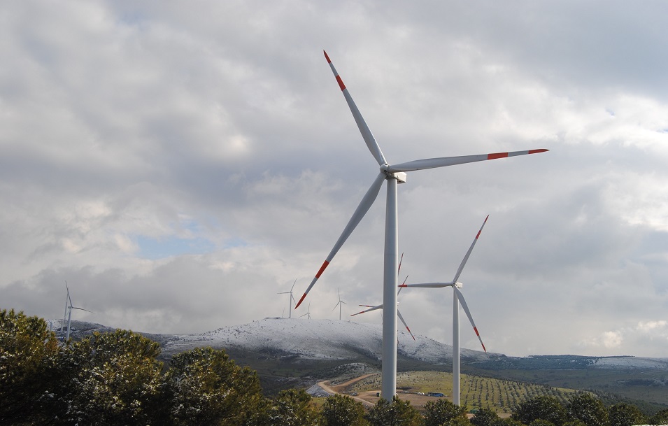 wind farm